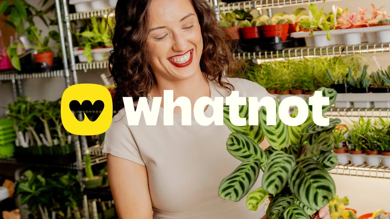 WhatNot: How a Livestream Shopping App Became the Billion-Dollar Empire Nobody Saw Coming